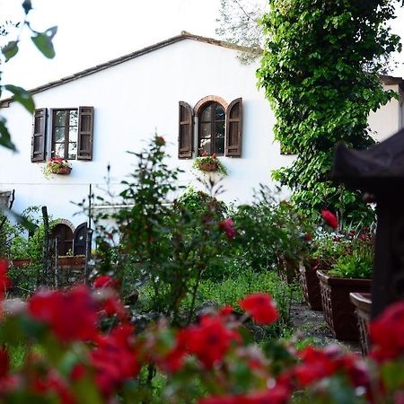 Prato A Baldo Villa Massa Marittima Luaran gambar