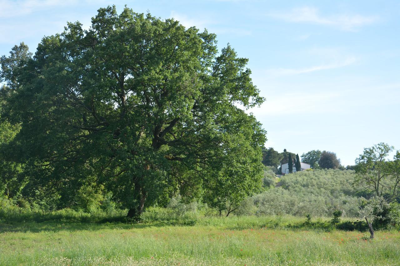 Prato A Baldo Villa Massa Marittima Luaran gambar