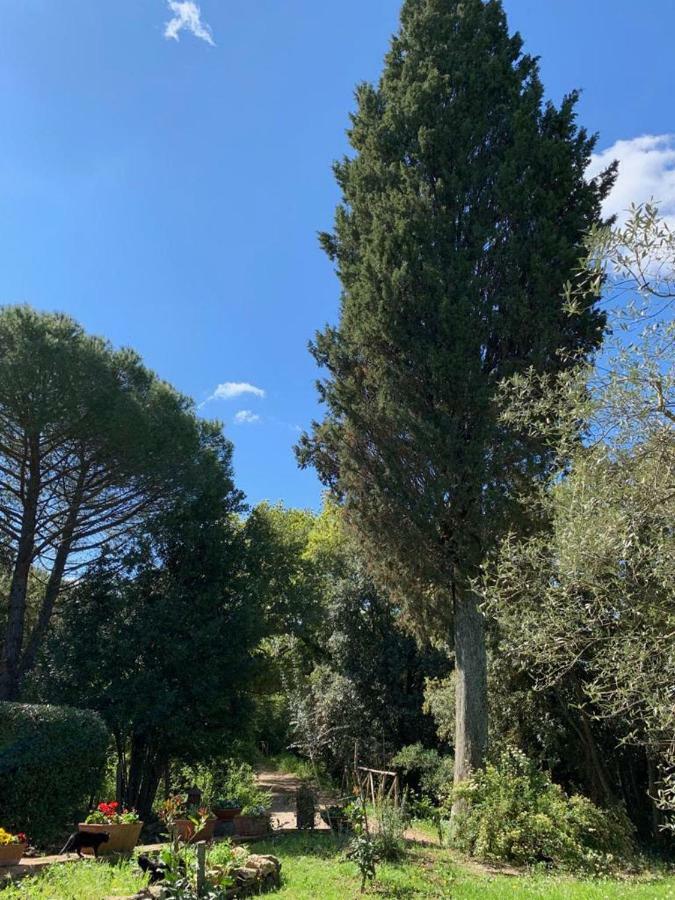 Prato A Baldo Villa Massa Marittima Luaran gambar